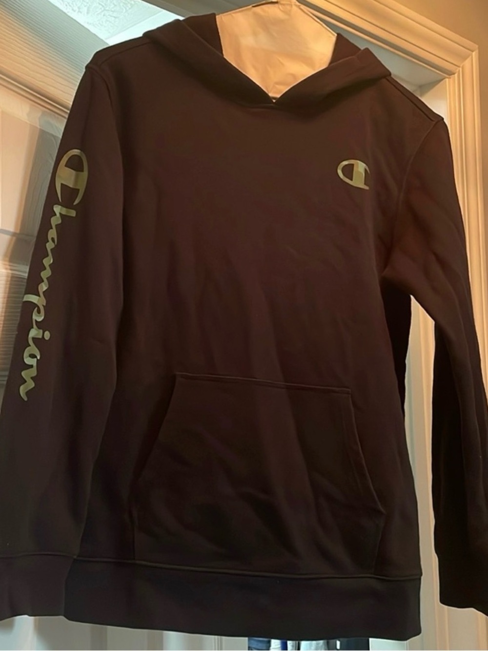 Champion Black Hoodie with Light Green Logo
🚭